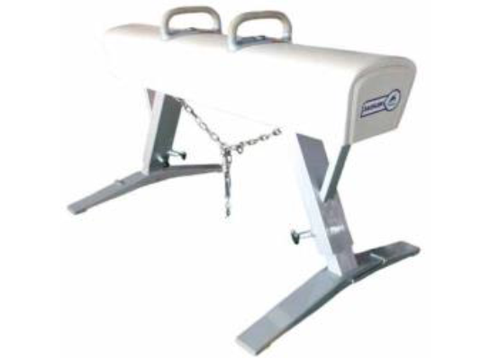 FIG APPROVED品の体操用具　あん馬