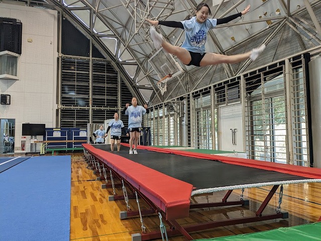 体操練習の必需品 タンブリングトランポリン