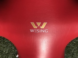 WESING製ダミー人形